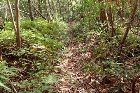 mt-takayasiro-2021jan- (33).jpg