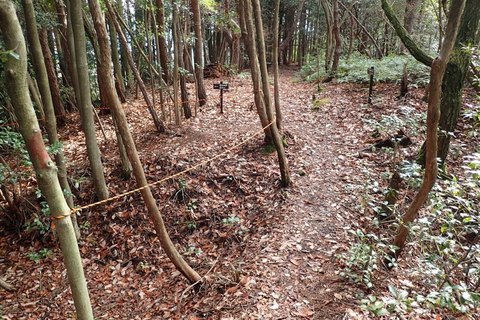 mt-takayasiro-2021jan- (34).jpg