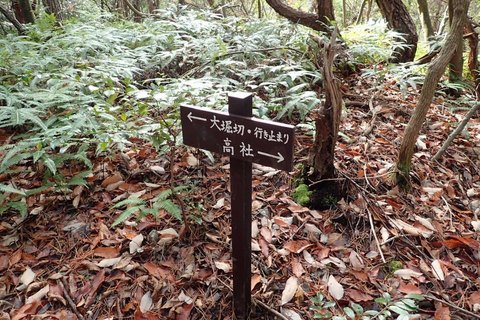 mt-takayasiro-2021jan- (35).jpg