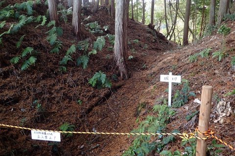 mt-takayasiro-2021jan- (38).jpg