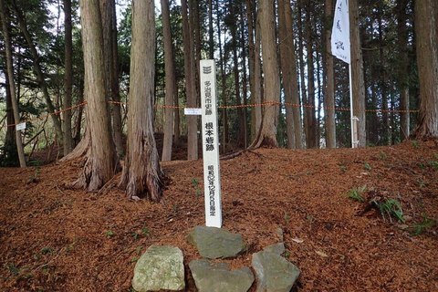 mt-takayasiro-2021jan- (39).jpg