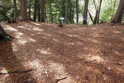 mt-takayasiro-2021jan- (40).jpg