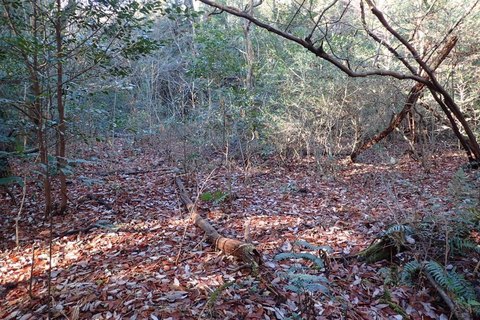 mt-takayasiro-2021jan- (4).jpg