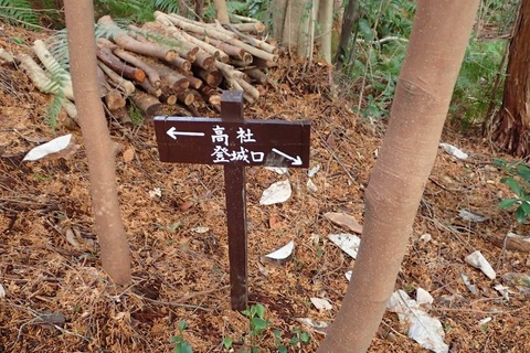 mt-takayasiro-2021jan- (43).jpg