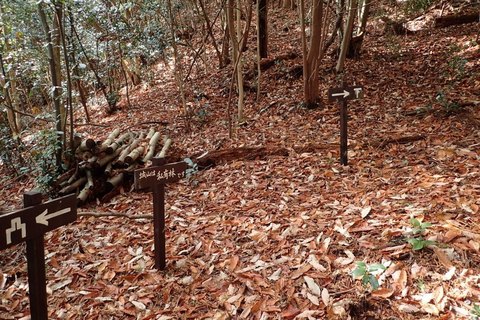 mt-takayasiro-2021jan- (46).jpg