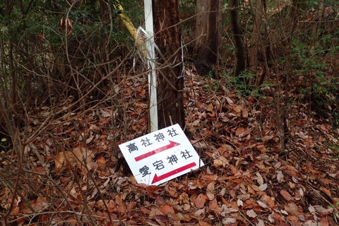 mt-takayasiro-2021jan- (8).jpg
