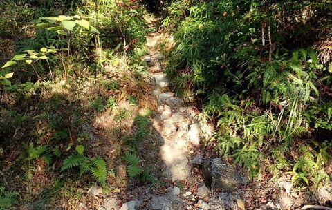 mt-tsugao_14nov2020-005.jpg