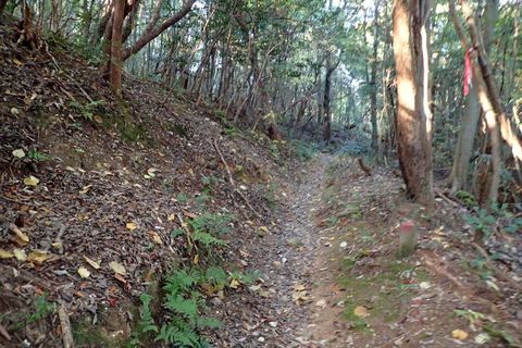 mt-tsugao_14nov2020-006.jpg