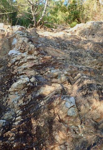 mt-tsugao_14nov2020-009.jpg