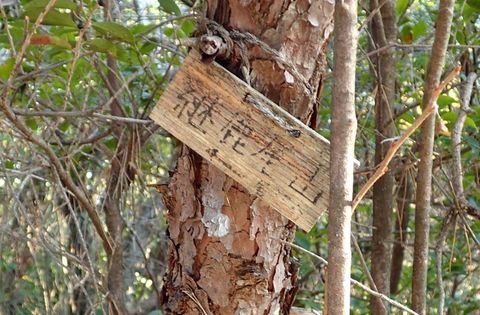 mt-tsugao_14nov2020-012.jpg