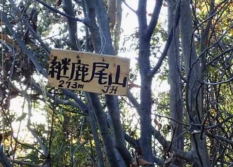 mt-tsugao_14nov2020-017.jpg