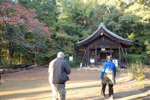 mt-tsugao_14nov2020-025.jpg