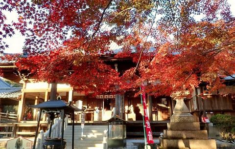 mt-tsugao_14nov2020-028.jpg