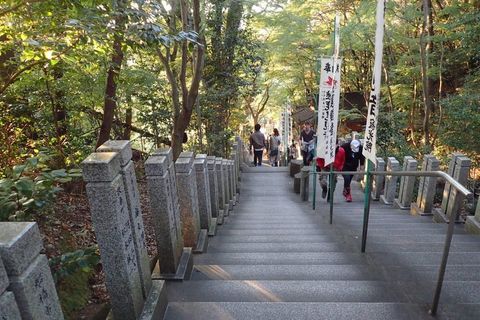 mt-tsugao_14nov2020-032.jpg