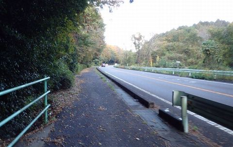 mt-tsugao_14nov2020-034.jpg