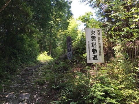 naegi-2020july 20.jpg