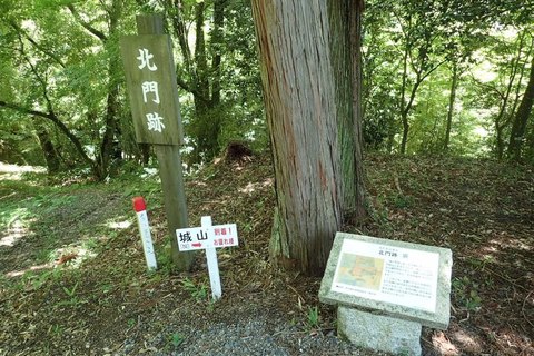 naegi-2020july 40.jpg