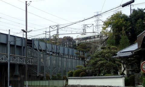 november2021_NSD-tarui-sekigahara-imasu-kashiwabara-101.JPG