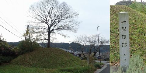 november2021_NSD-tarui-sekigahara-imasu-kashiwabara-109.JPG