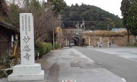 november2021_NSD-tarui-sekigahara-imasu-kashiwabara-116.JPG