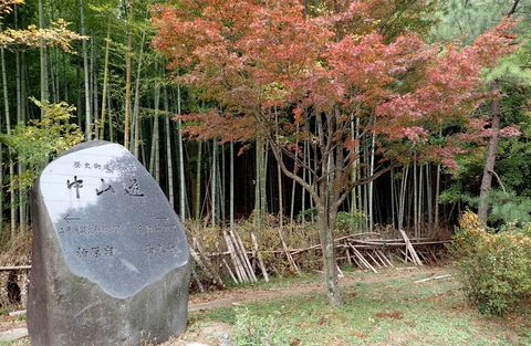 november2021_NSD-tarui-sekigahara-imasu-kashiwabara-142.JPG