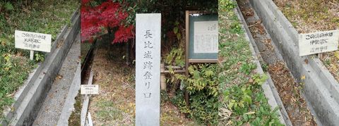 november2021_NSD-tarui-sekigahara-imasu-kashiwabara-143.JPG