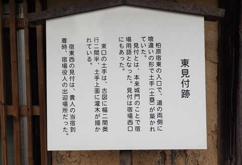 november2021_NSD-tarui-sekigahara-imasu-kashiwabara-151.JPG