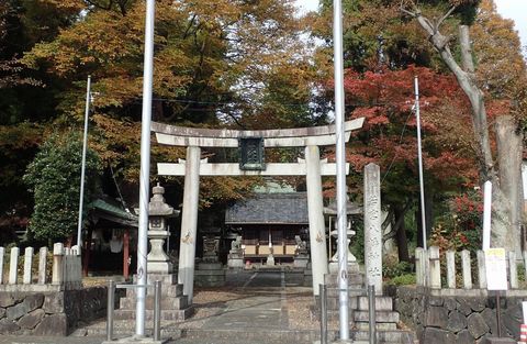 november2021_NSD-tarui-sekigahara-imasu-kashiwabara-57.JPG