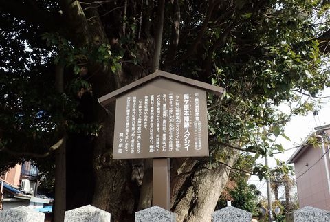 november2021_NSD-tarui-sekigahara-imasu-kashiwabara-64.JPG