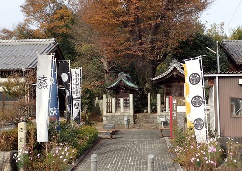 november2021_NSD-tarui-sekigahara-imasu-kashiwabara-69.JPG