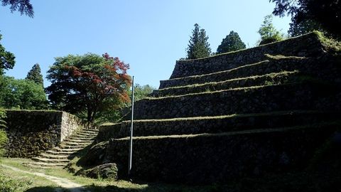 qP6085256.JPG