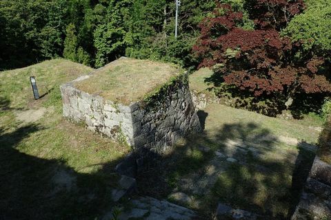 qP6085282.JPG